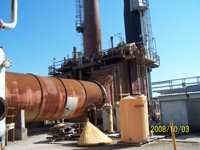 Plant image 1