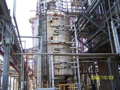 Plant image 2